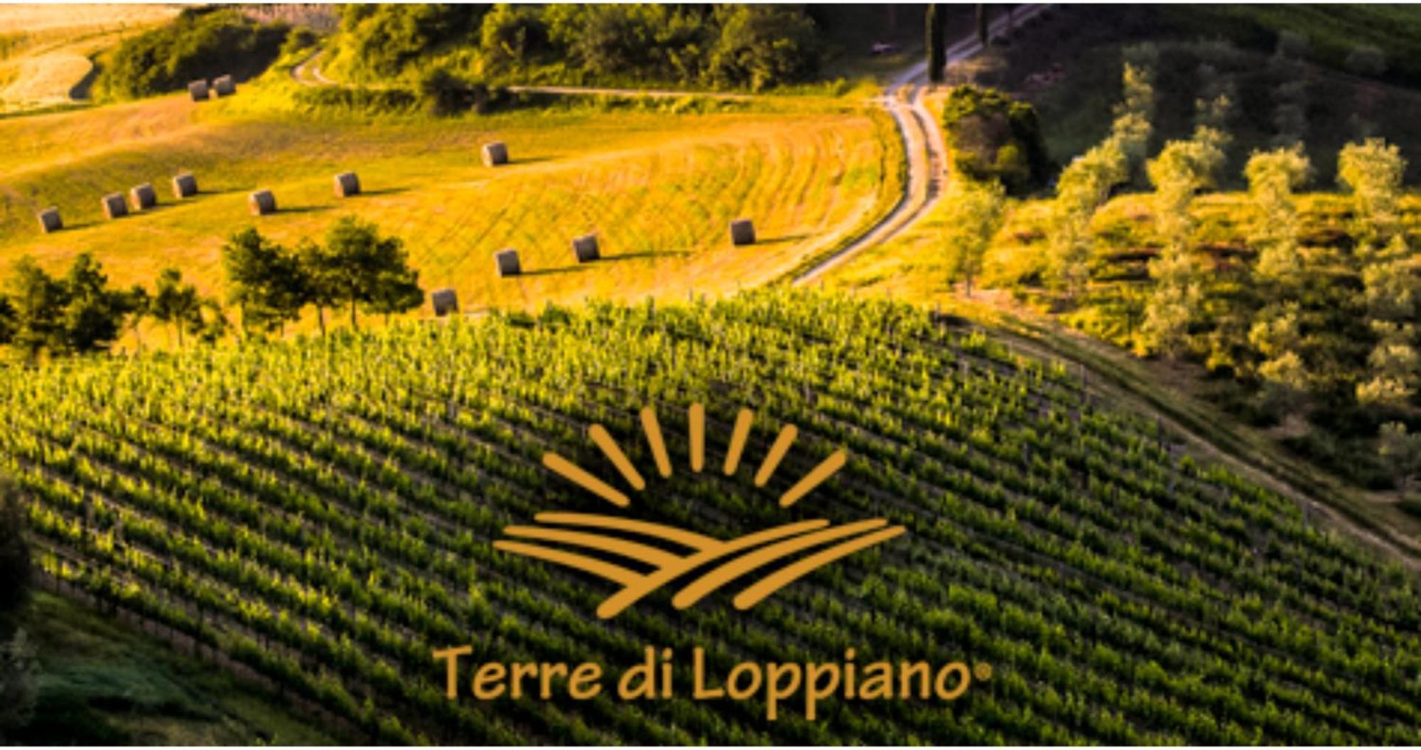 Agriturismo Fattoria Di Loppiano Regina Mundi Villa Vivajo Екстериор снимка